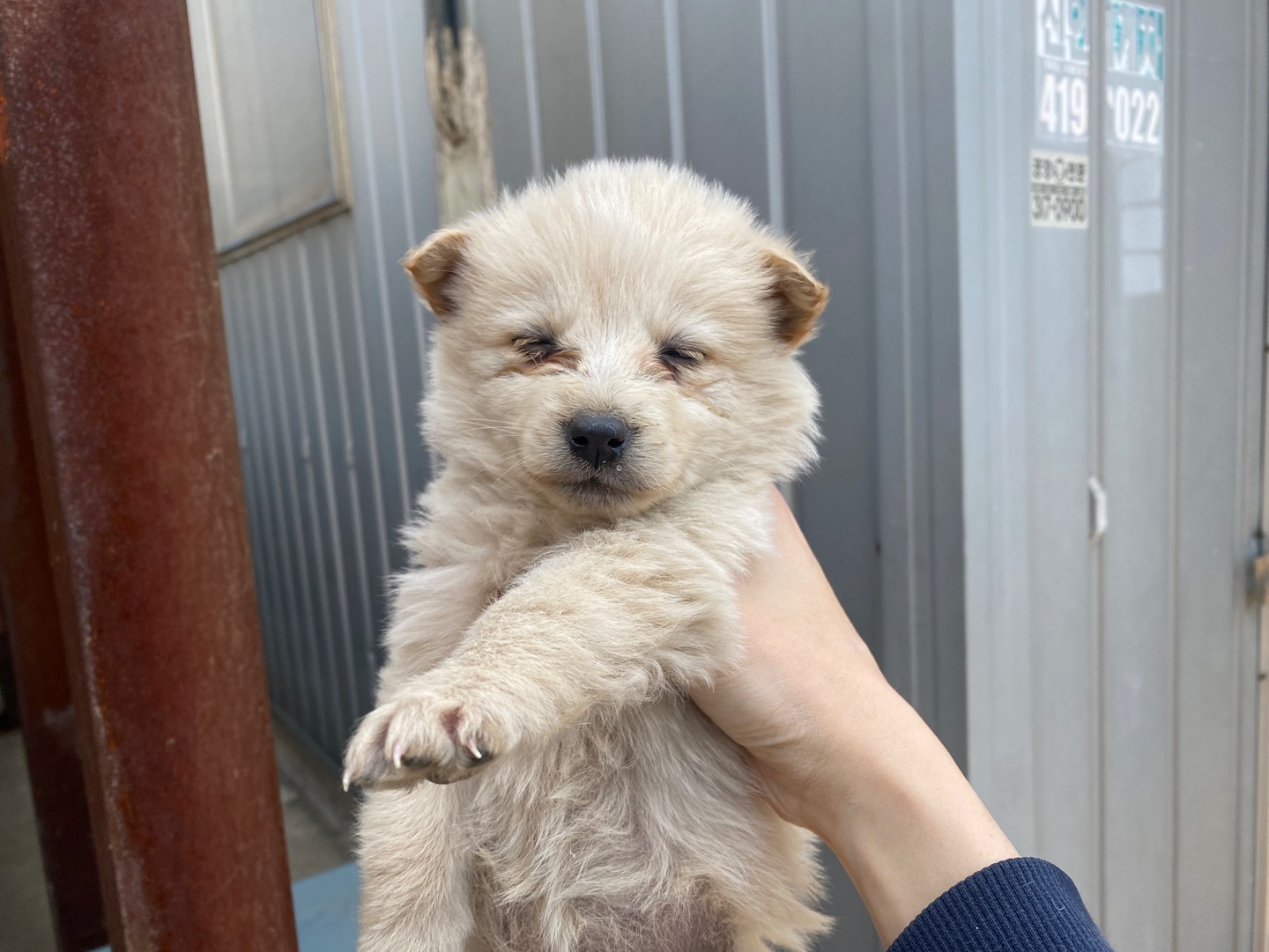 한국야생동물보호협회_441393202400638